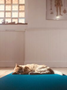 tapis de yoga pour yin yoga à la maison
